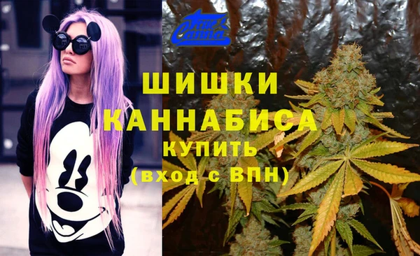 ГАЛЛЮЦИНОГЕННЫЕ ГРИБЫ Бронницы